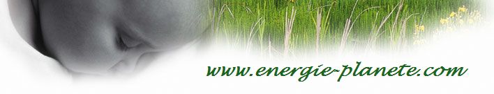 Biocarburants avec www.energie-planete.com