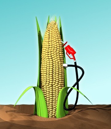 les biocarburants